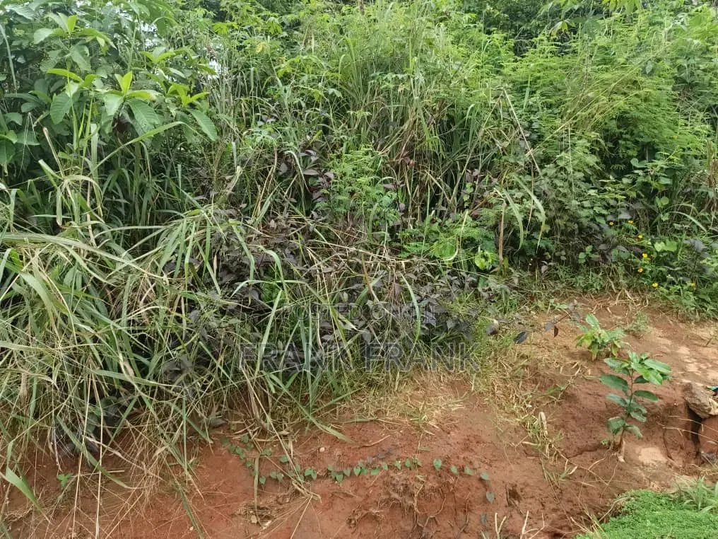 200 Plots of Land at Amenyi-Nibo by Ring Road in Awka Anambra State