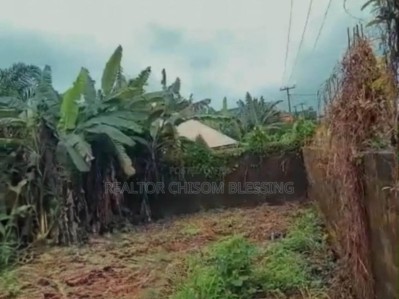 11⁄2 Prime Plots Fenced and Gated, on the Road for Sale