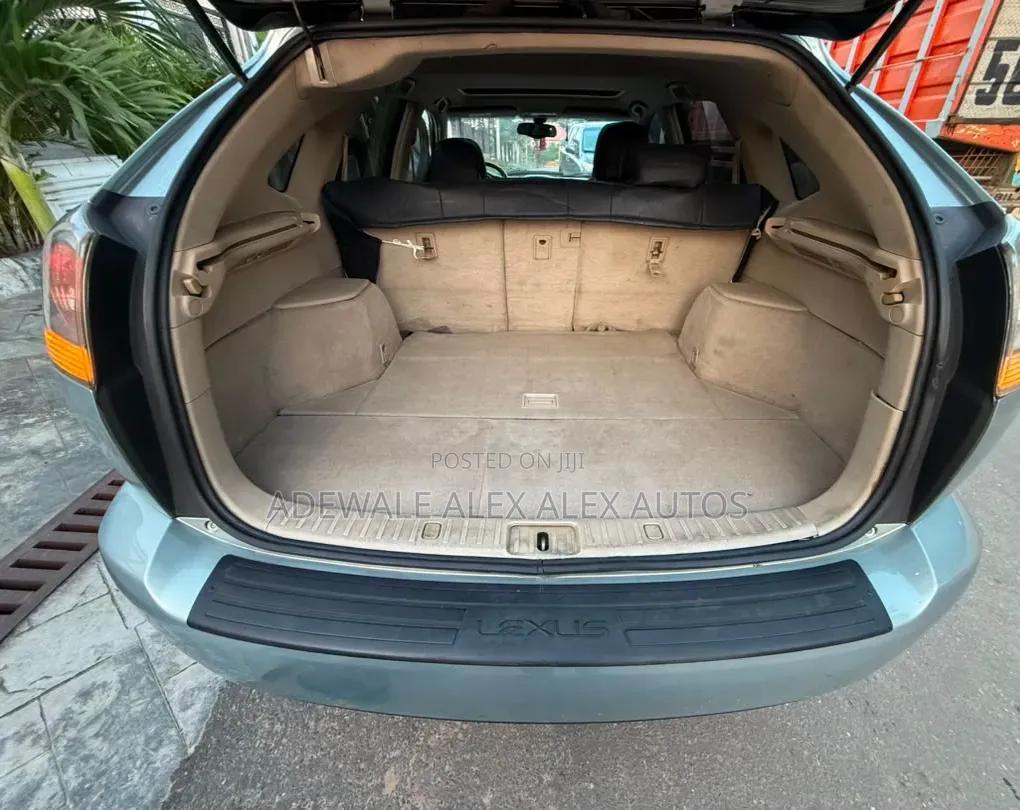 Lexus RX 2007 Gray
