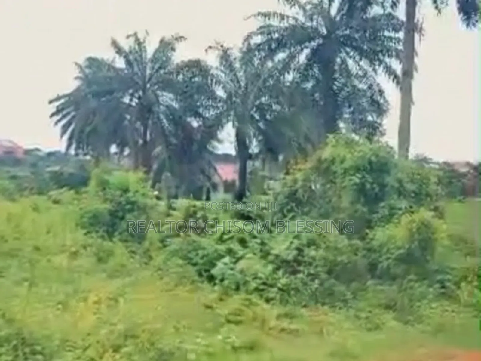 Prime 4 Plots for Sale in New Government House, Okwuta Ibeku, Umuahia