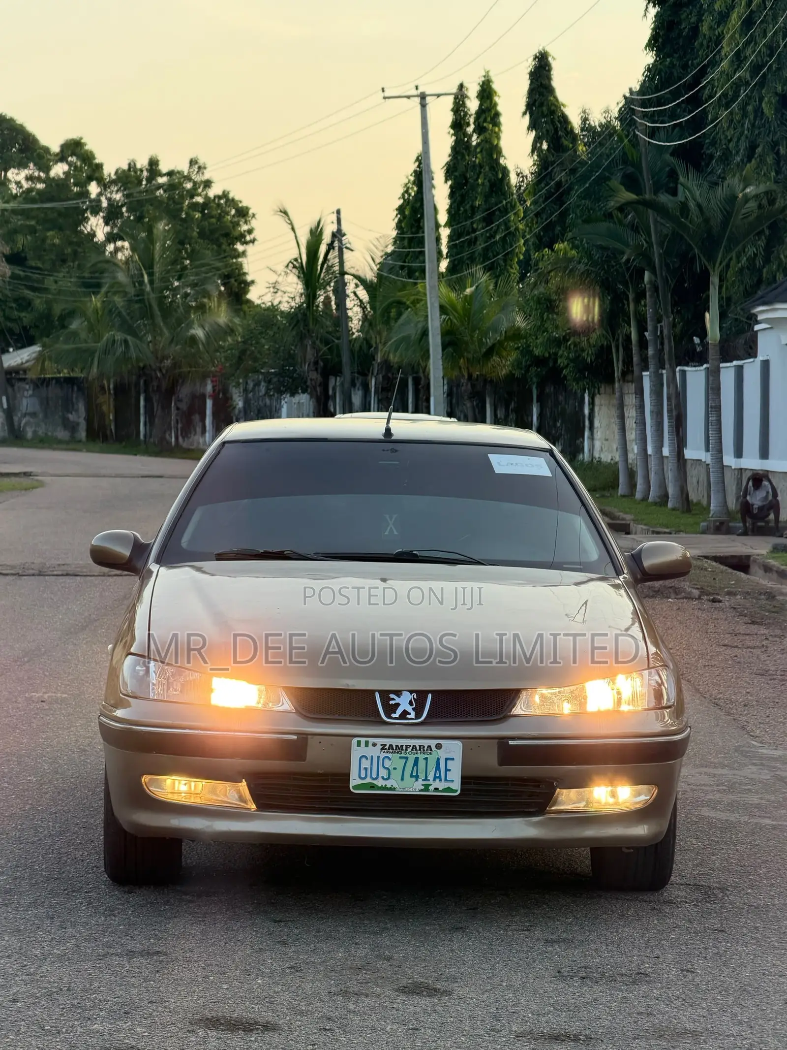 Peugeot 406 2004 Gold