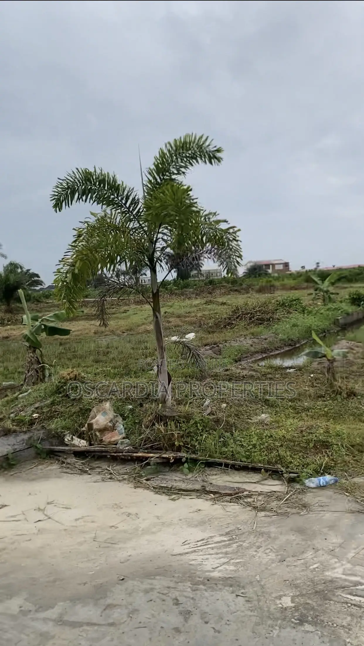 Land for Sale in Beechwood Estate ADIVA 111
