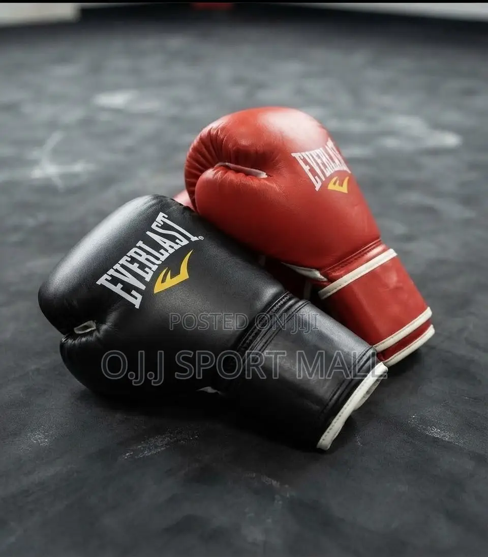 Leather Everlast Boxing Gloves – Brand New