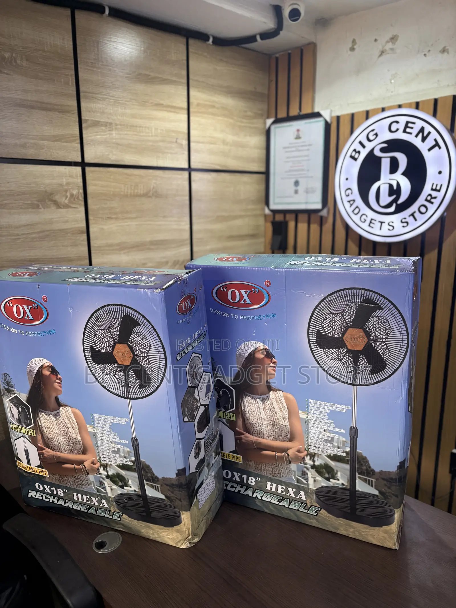 Brand New Rechargeable Standing Fan