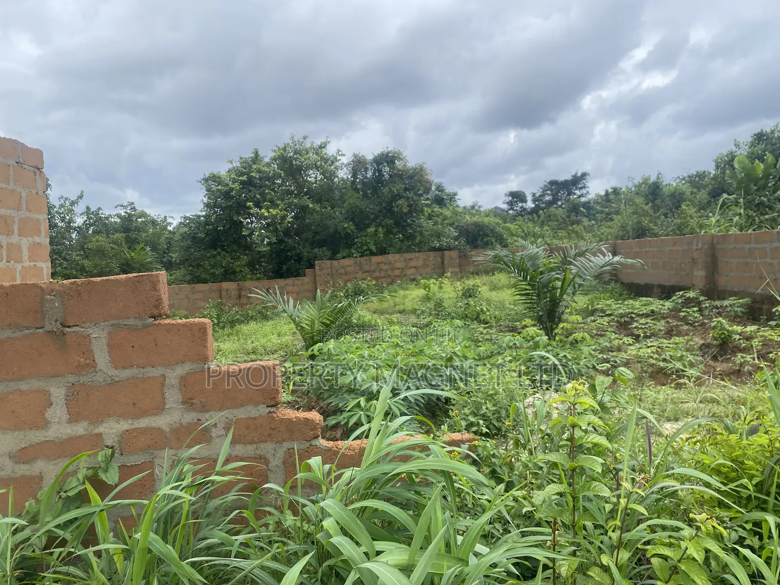 75 Plots of Land for Sale in Umuahia (Bulk Deal)