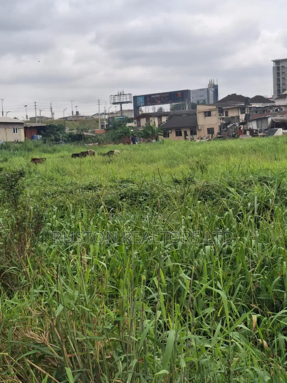 Prime Commercial Land