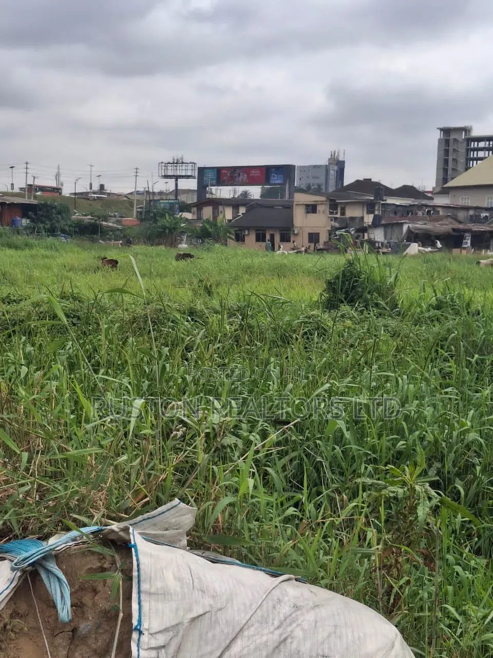 Prime Commercial Land