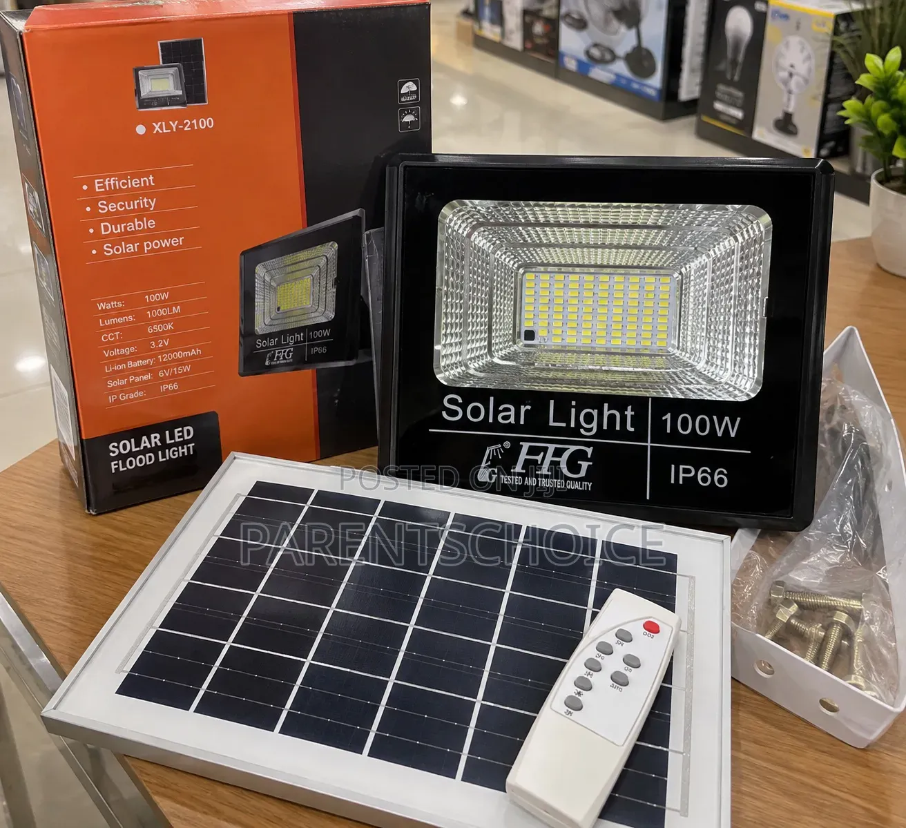 FFG 100W All-in-One Solar Flood Light