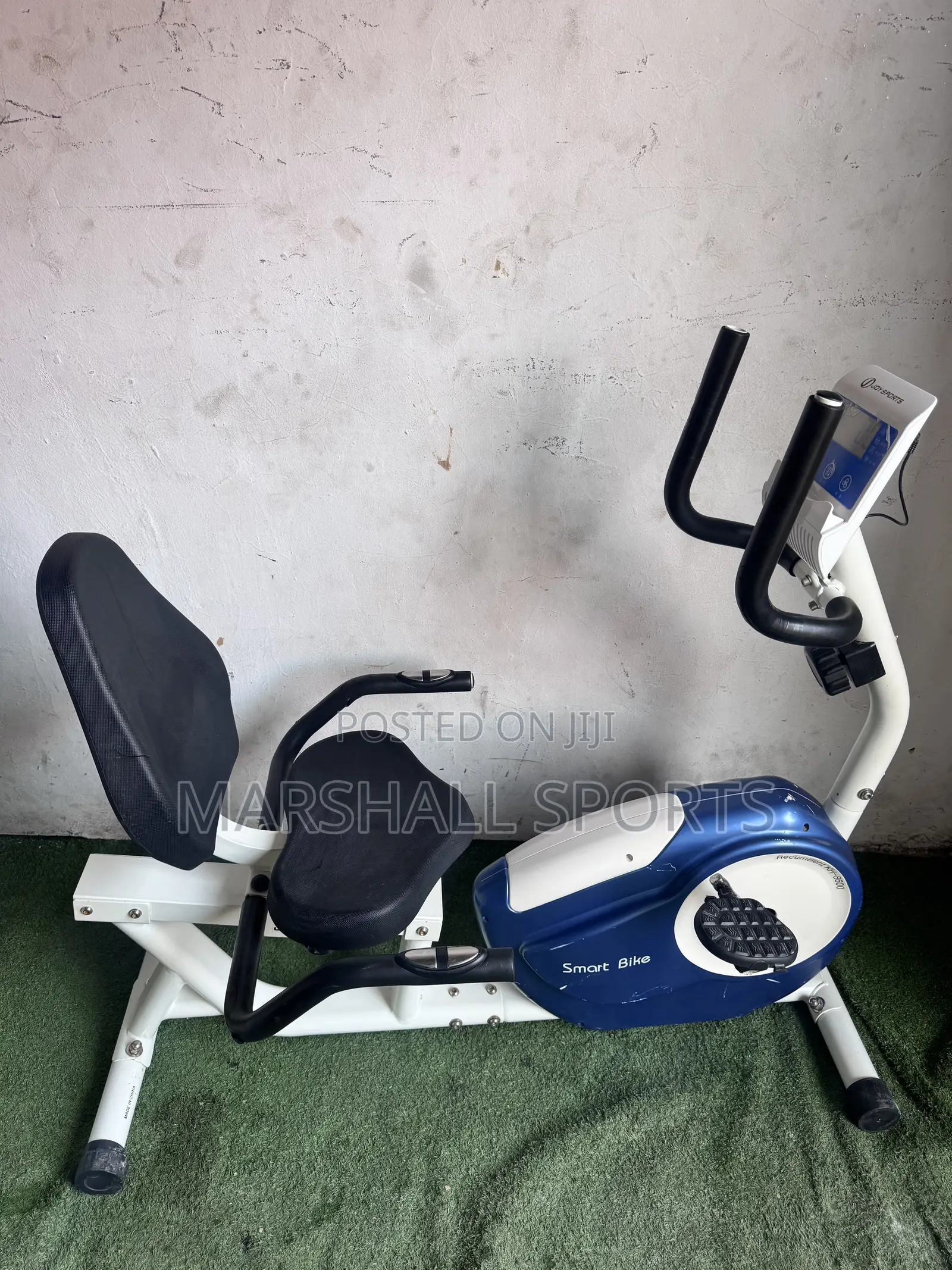 Blue Recumbent Bike