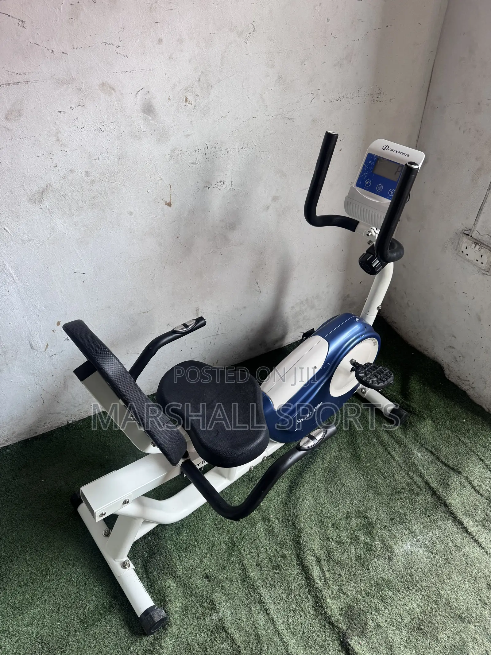 Blue Recumbent Bike