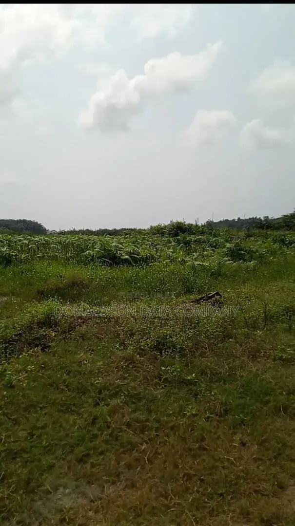 200 Acres of Land