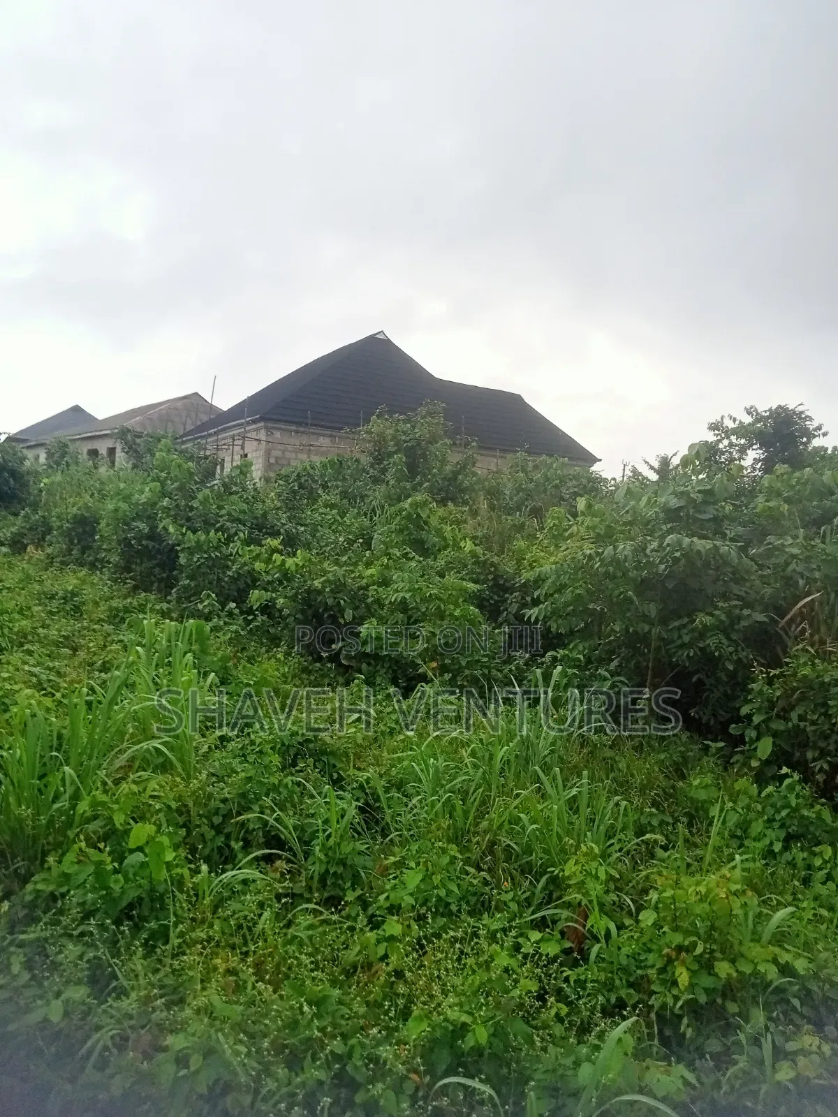 Land for Sale at Arobieye Ajibola Farm