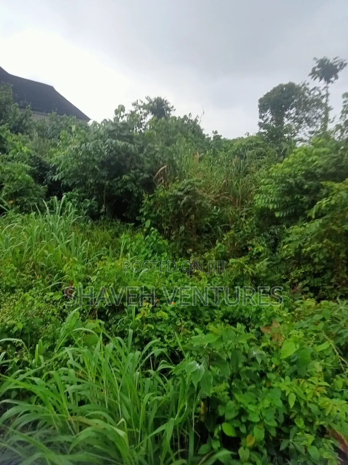 Land for Sale at Arobieye Ajibola Farm