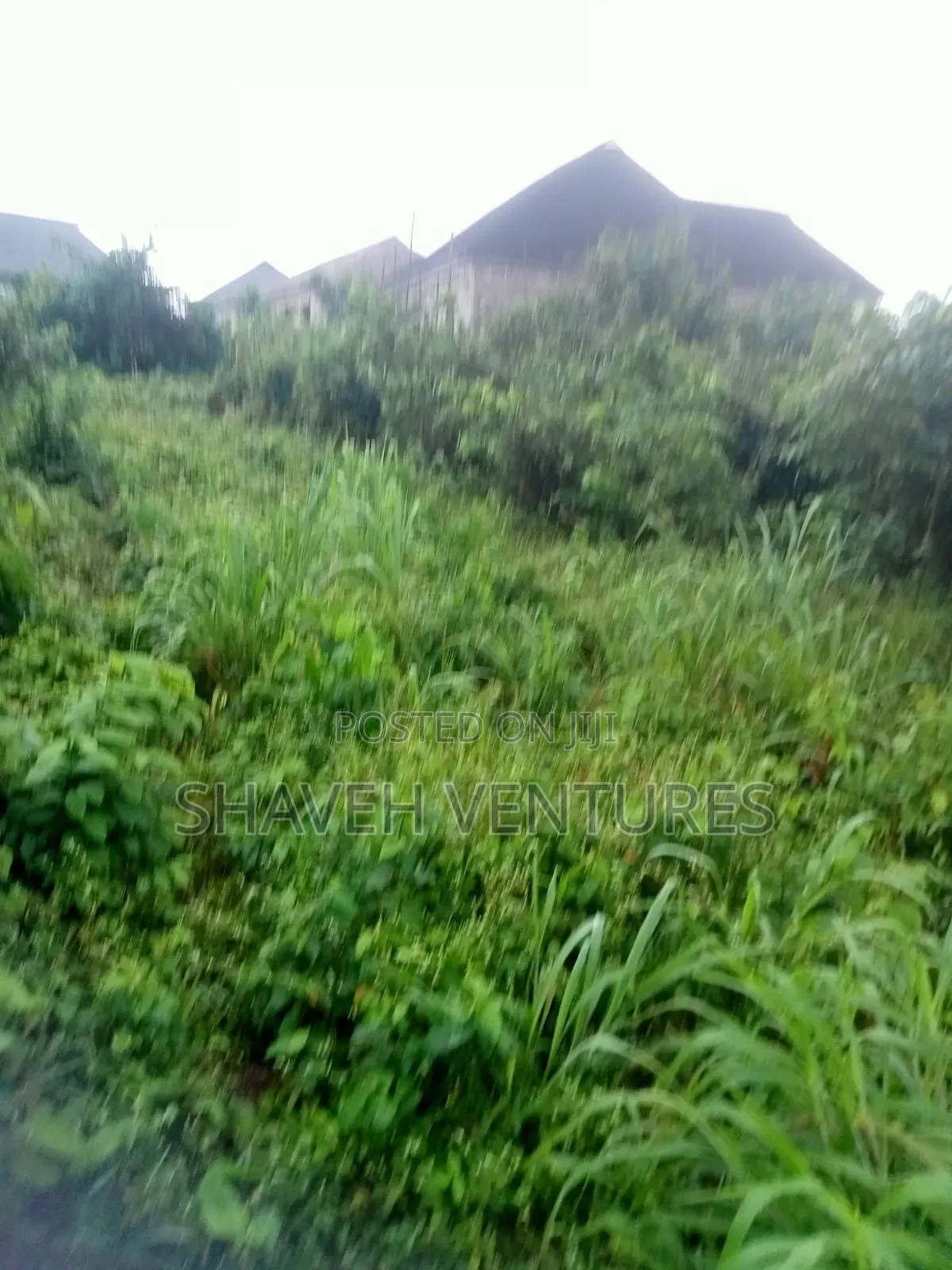Land for Sale at Arobieye Ajibola Farm