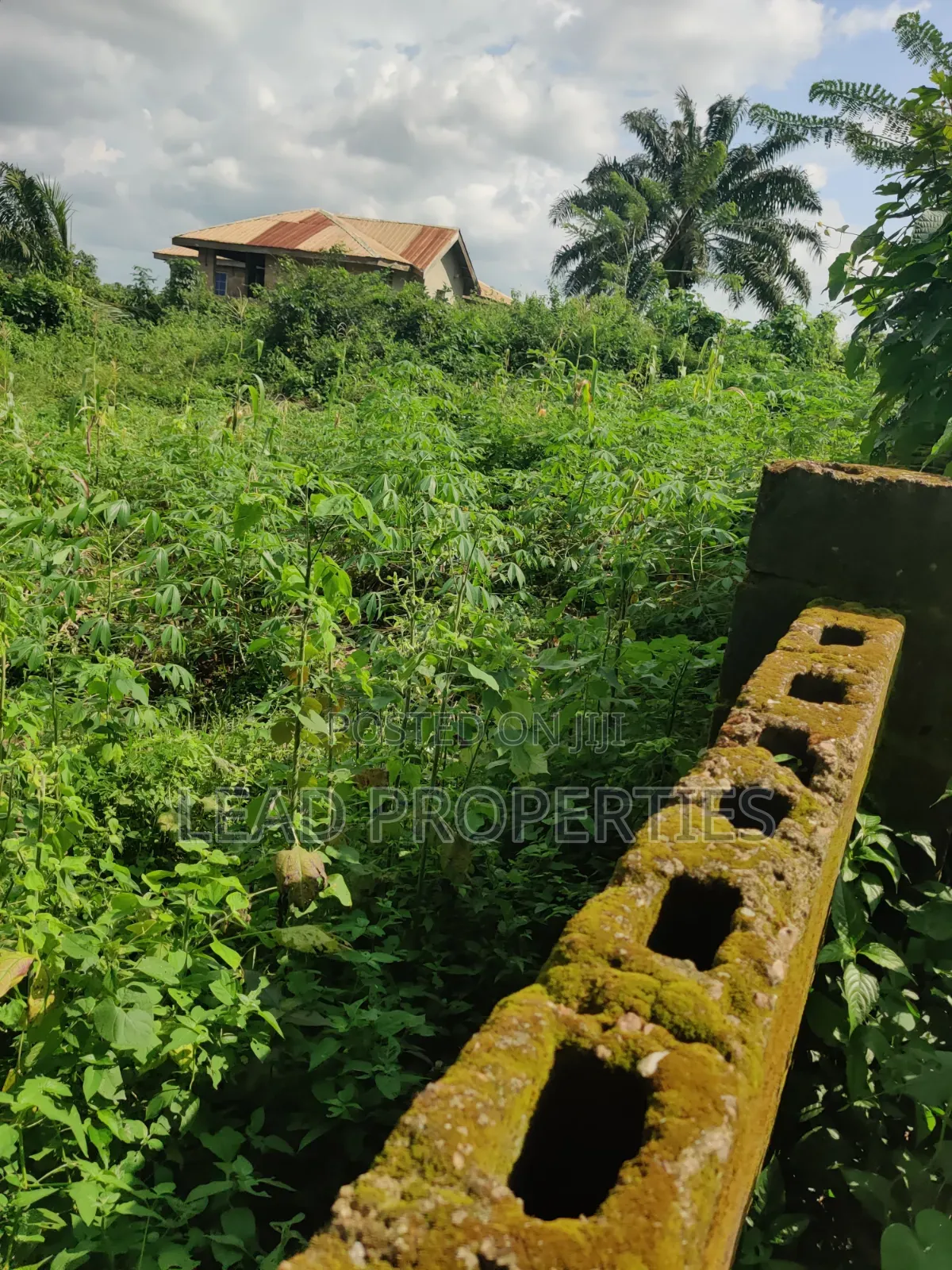 2 Plots of Land for at GRA Ondo