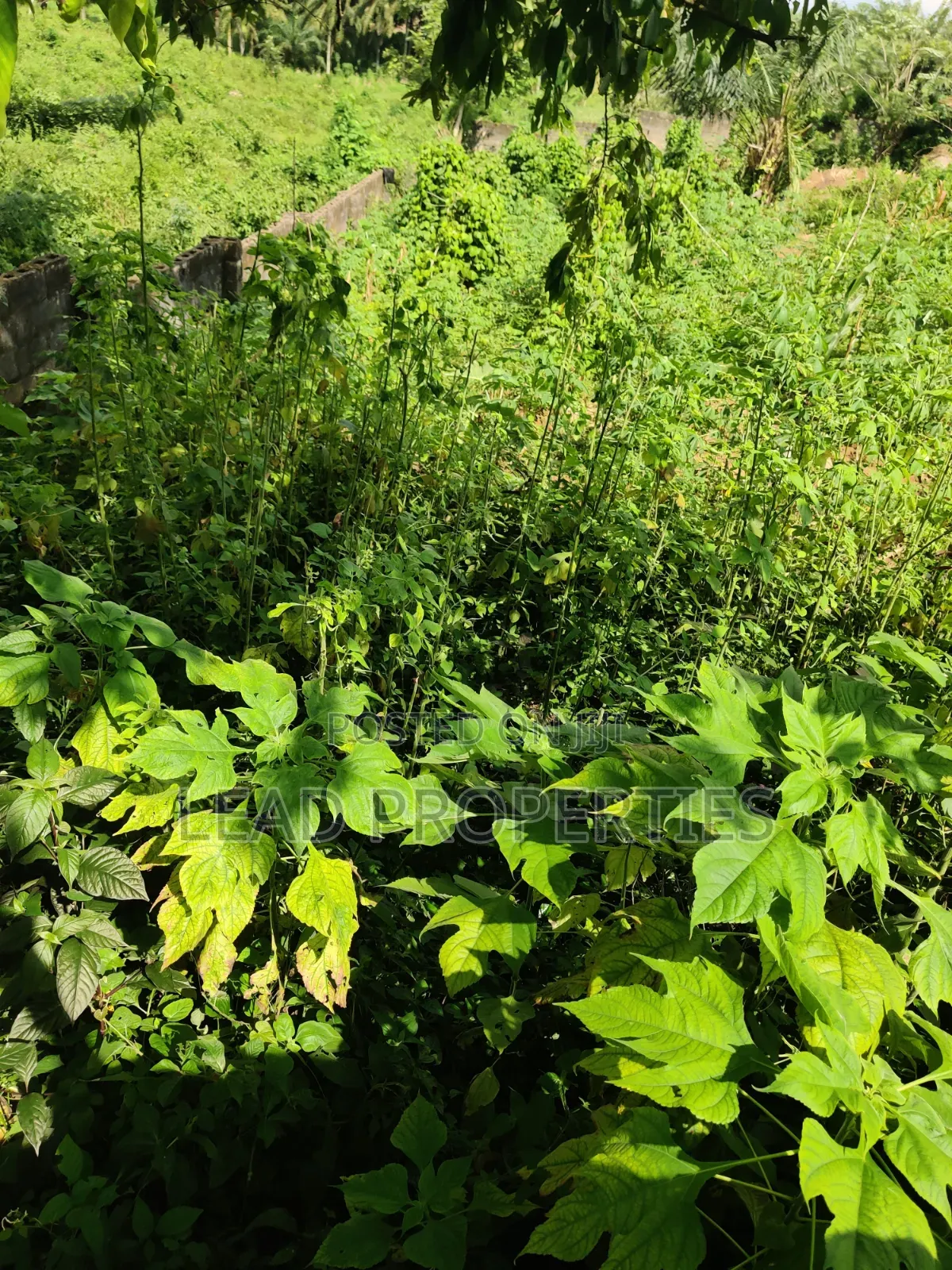2 Plots of Land for at GRA Ondo