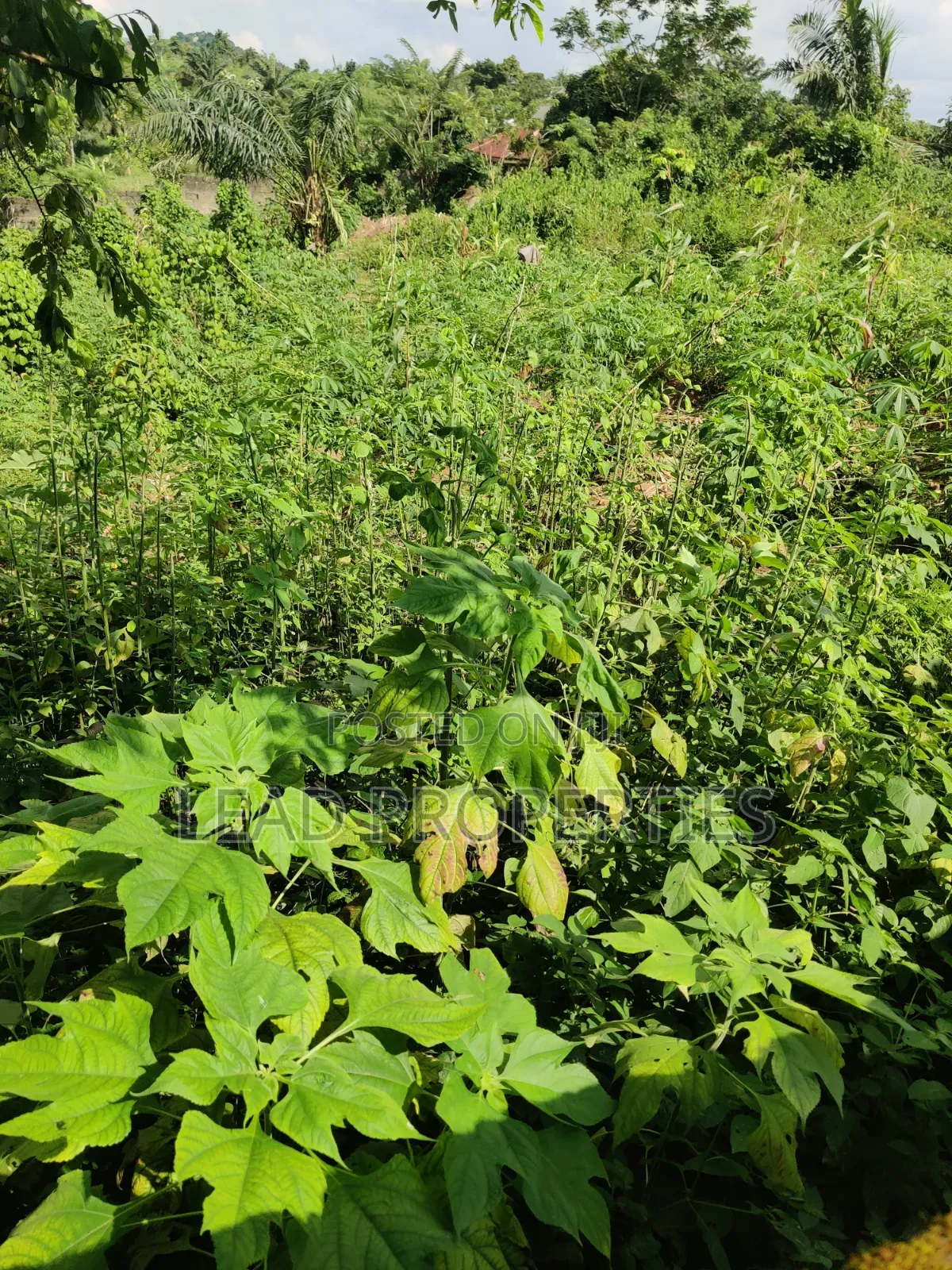 2 Plots of Land for at GRA Ondo