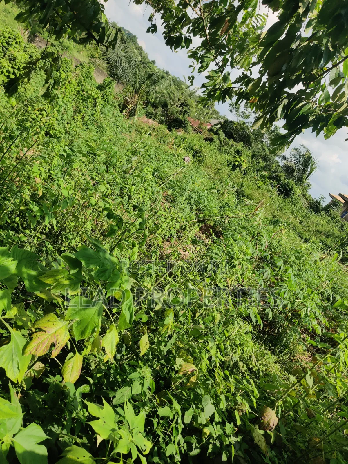 2 Plots of Land for at GRA Ondo