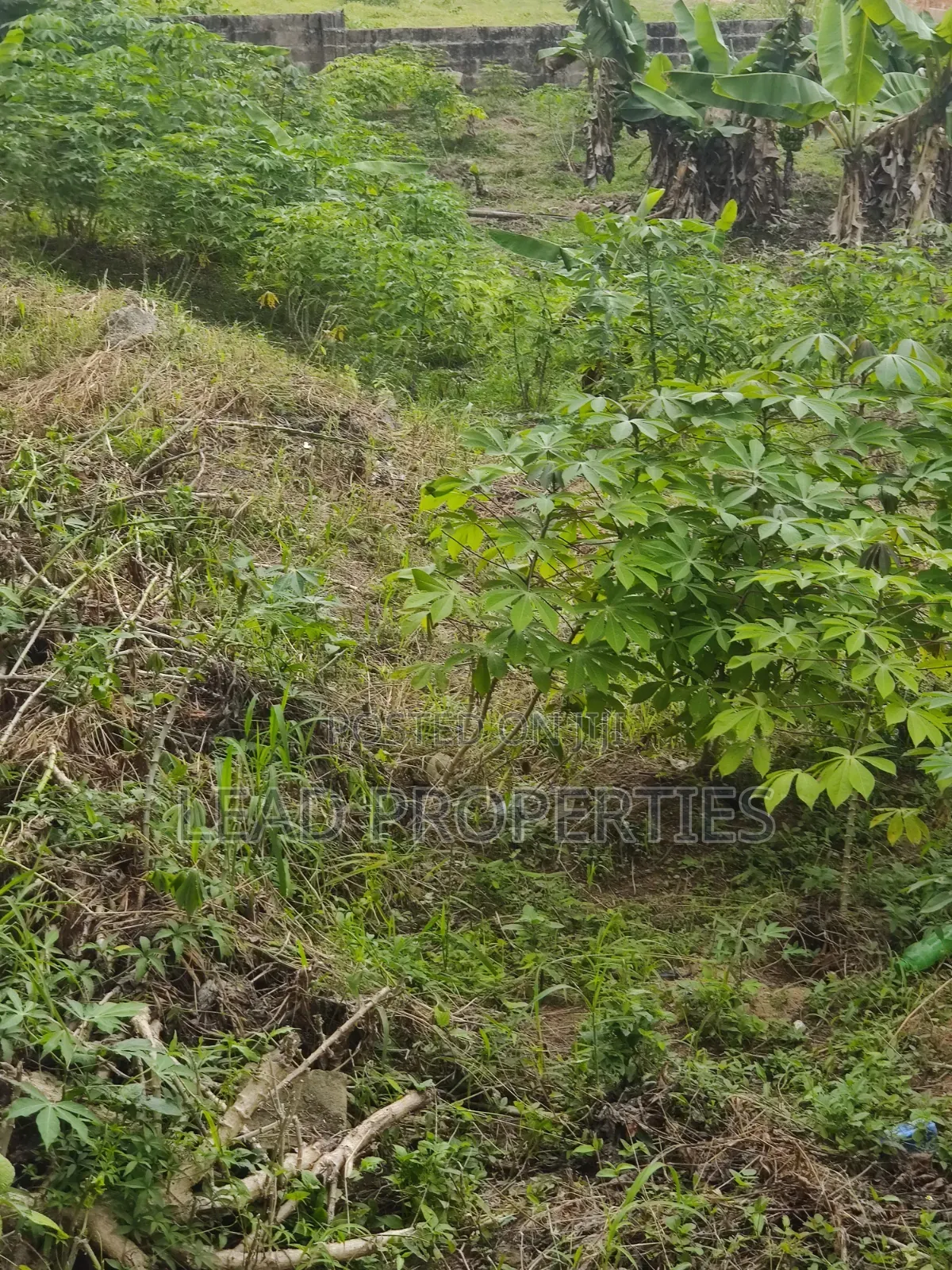 3 Plots of Land for Sale at UNIMED Permanent Site Ondo