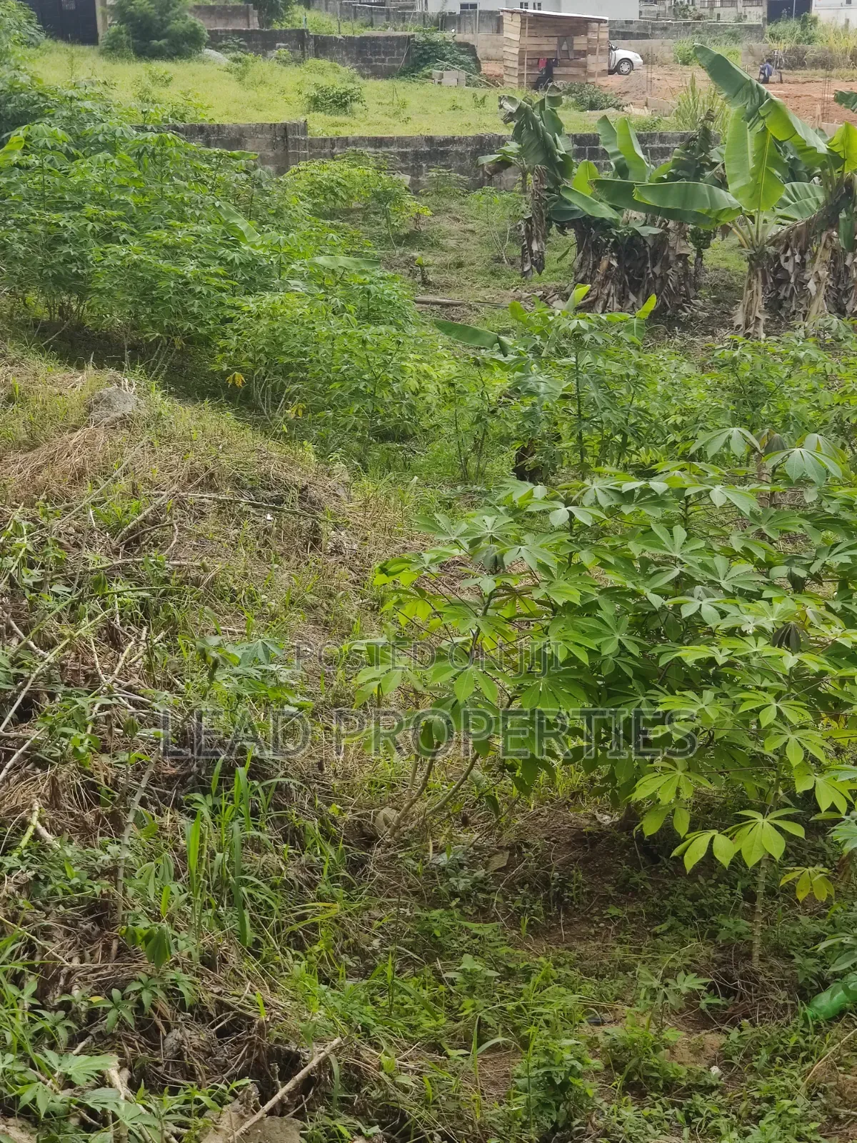 3 Plots of Land for Sale at UNIMED Permanent Site Ondo
