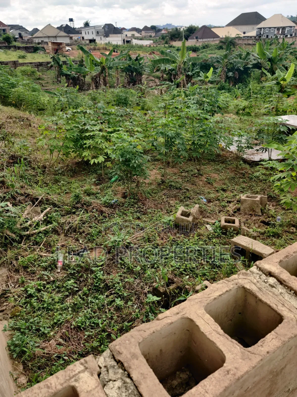 3 Plots of Land for Sale at UNIMED Permanent Site Ondo