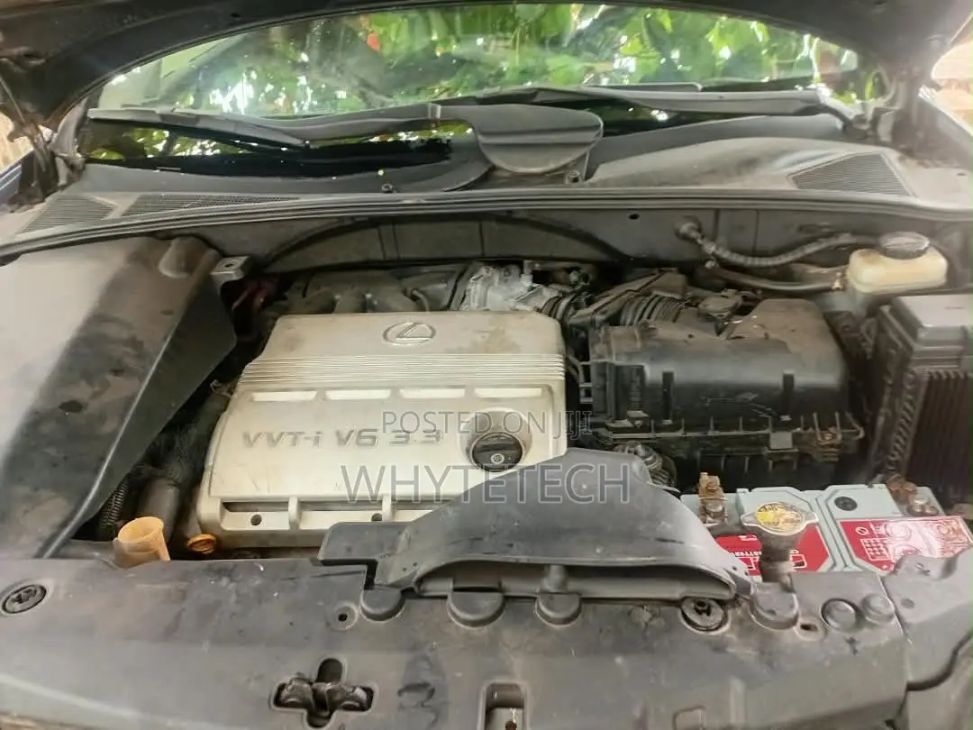 Lexus RX 330 2006 Blue