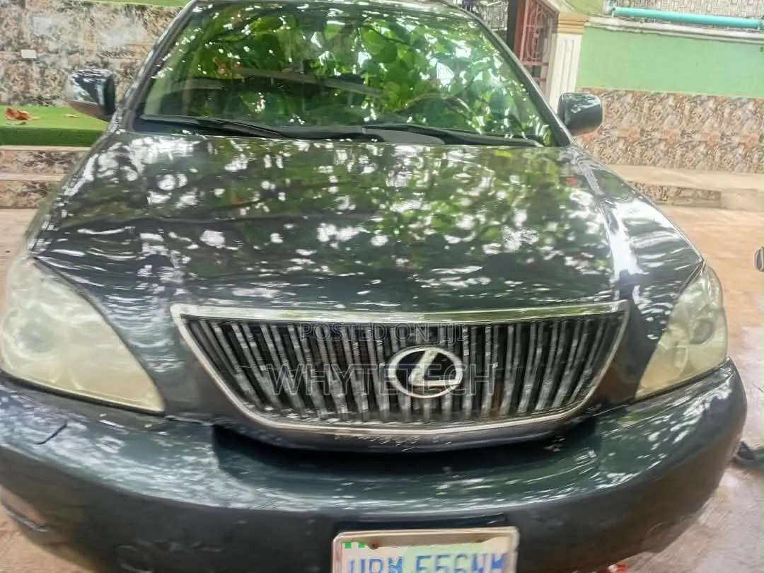 Lexus RX 330 2006 Blue