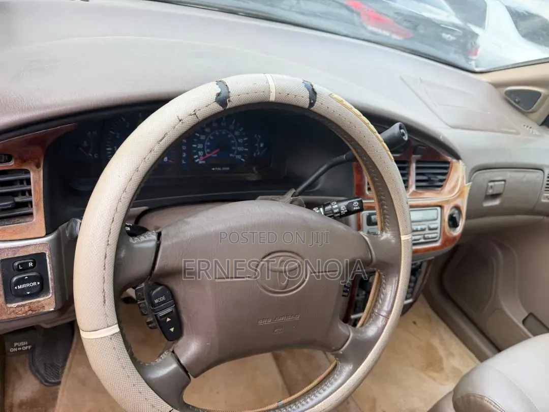 Toyota Sienna XLE 2002 Brown
