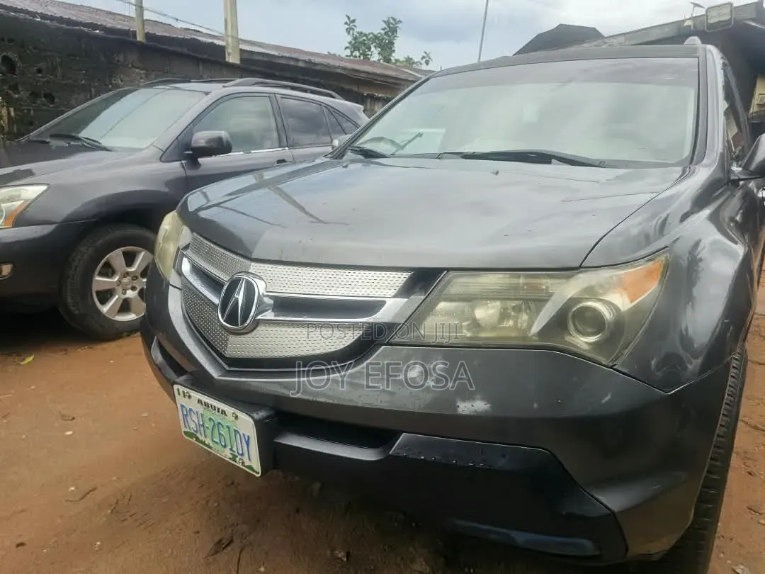 Acura MDX 2009 Gray
