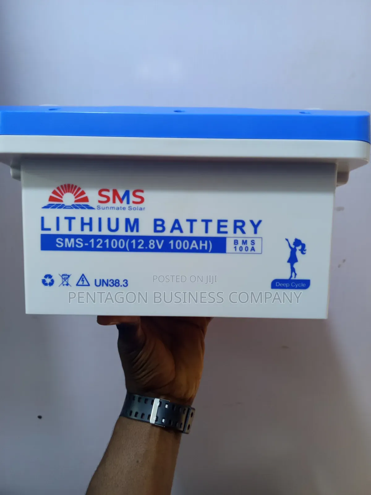 1KWH 12volts Lithium Battery SMS