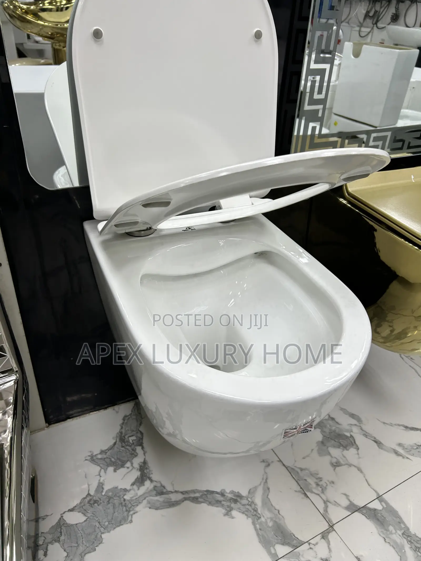 Wall Hung Wc White Color