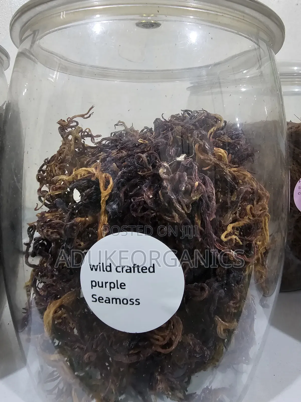 Wildcrafted Purple Seamoss 100g Pack
