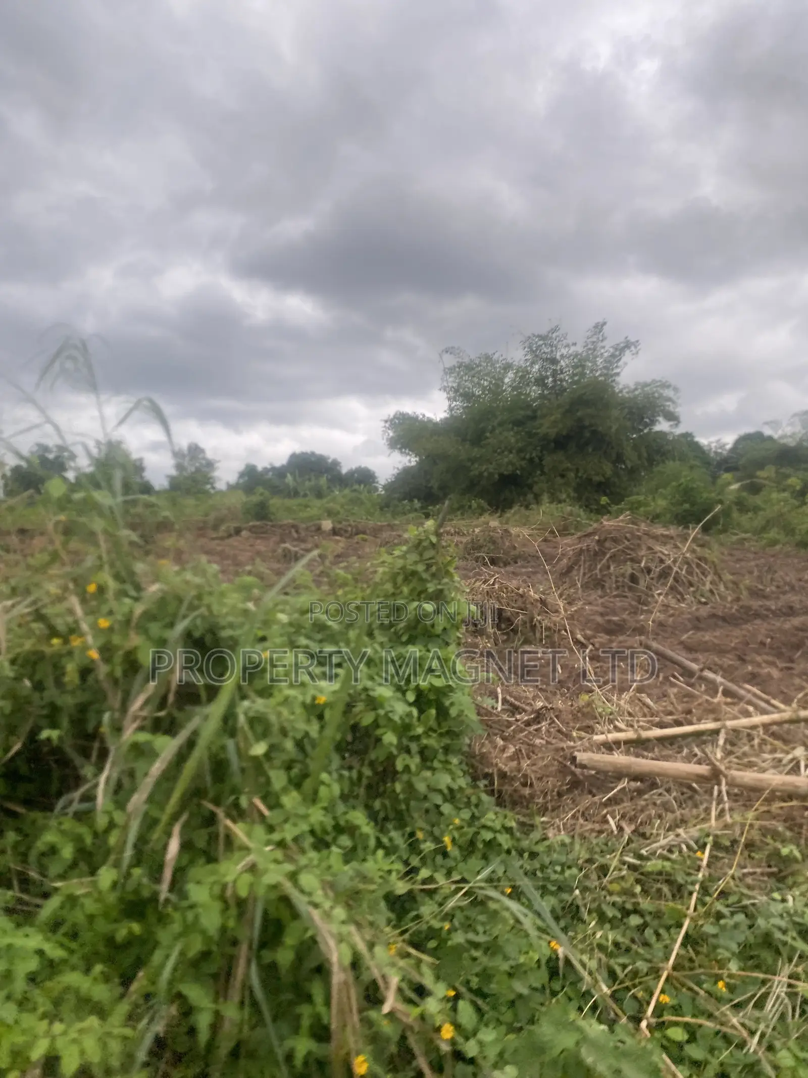 1 Plot at Lodu Ibeku for Distress Sale