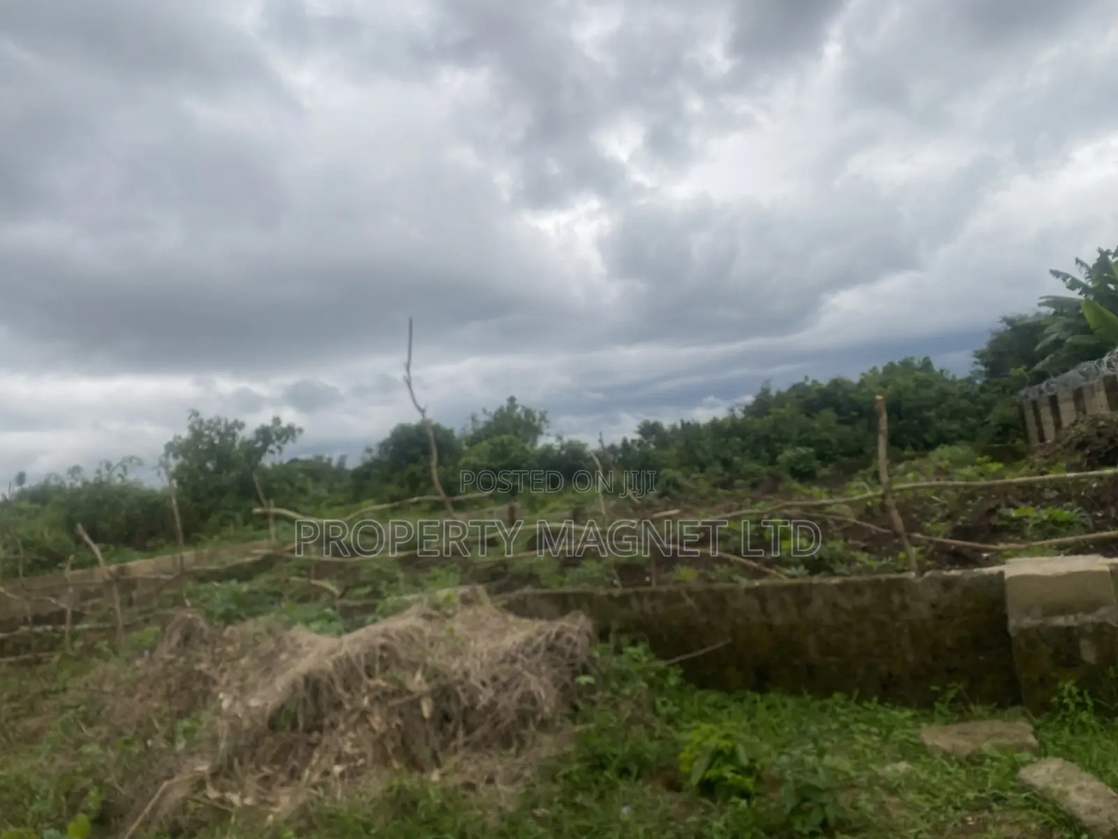 2 Plots for Sale at Amuoba Housing Estate