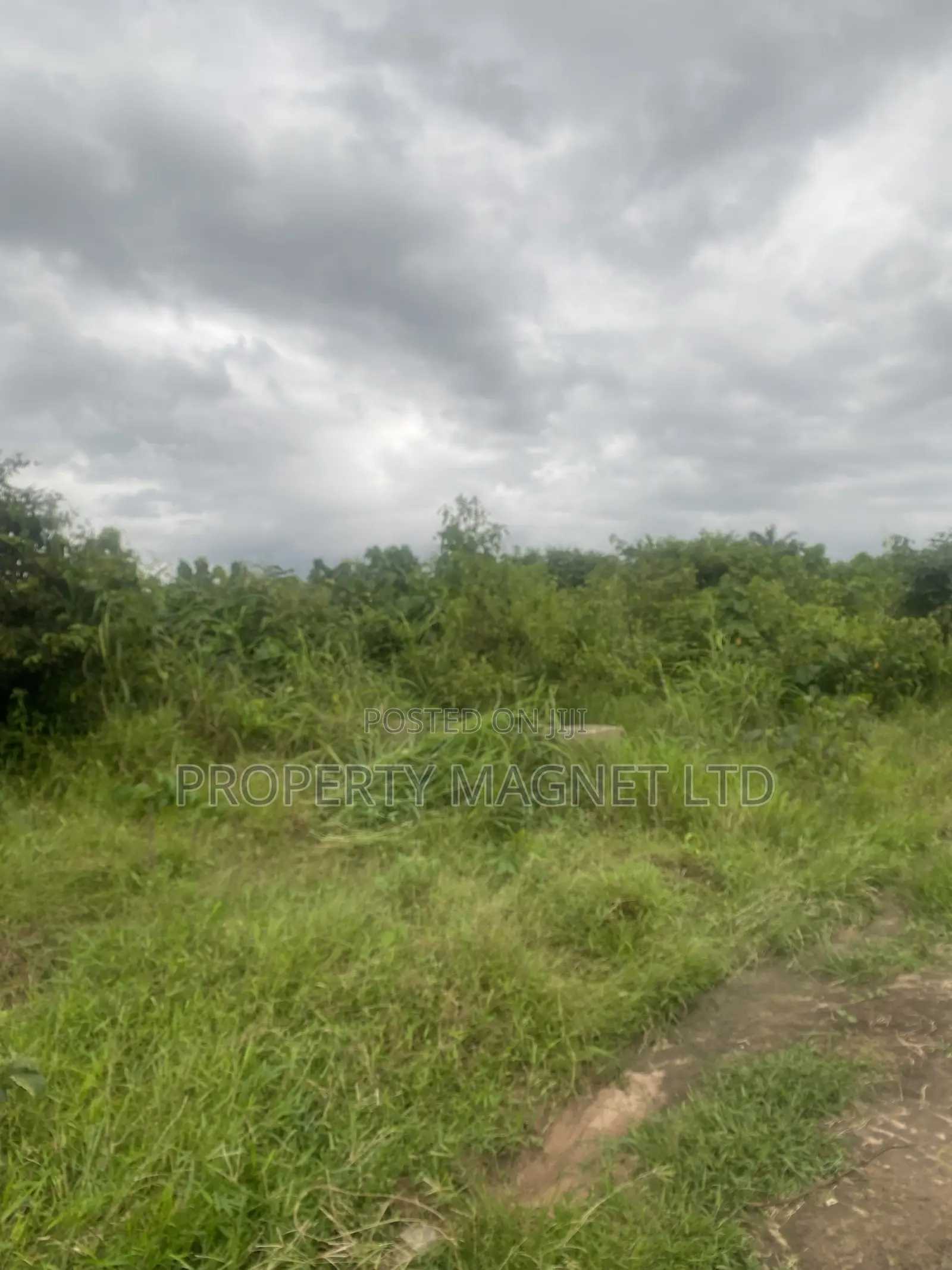 2 Plots for Sale at Amuoba Housing Estate