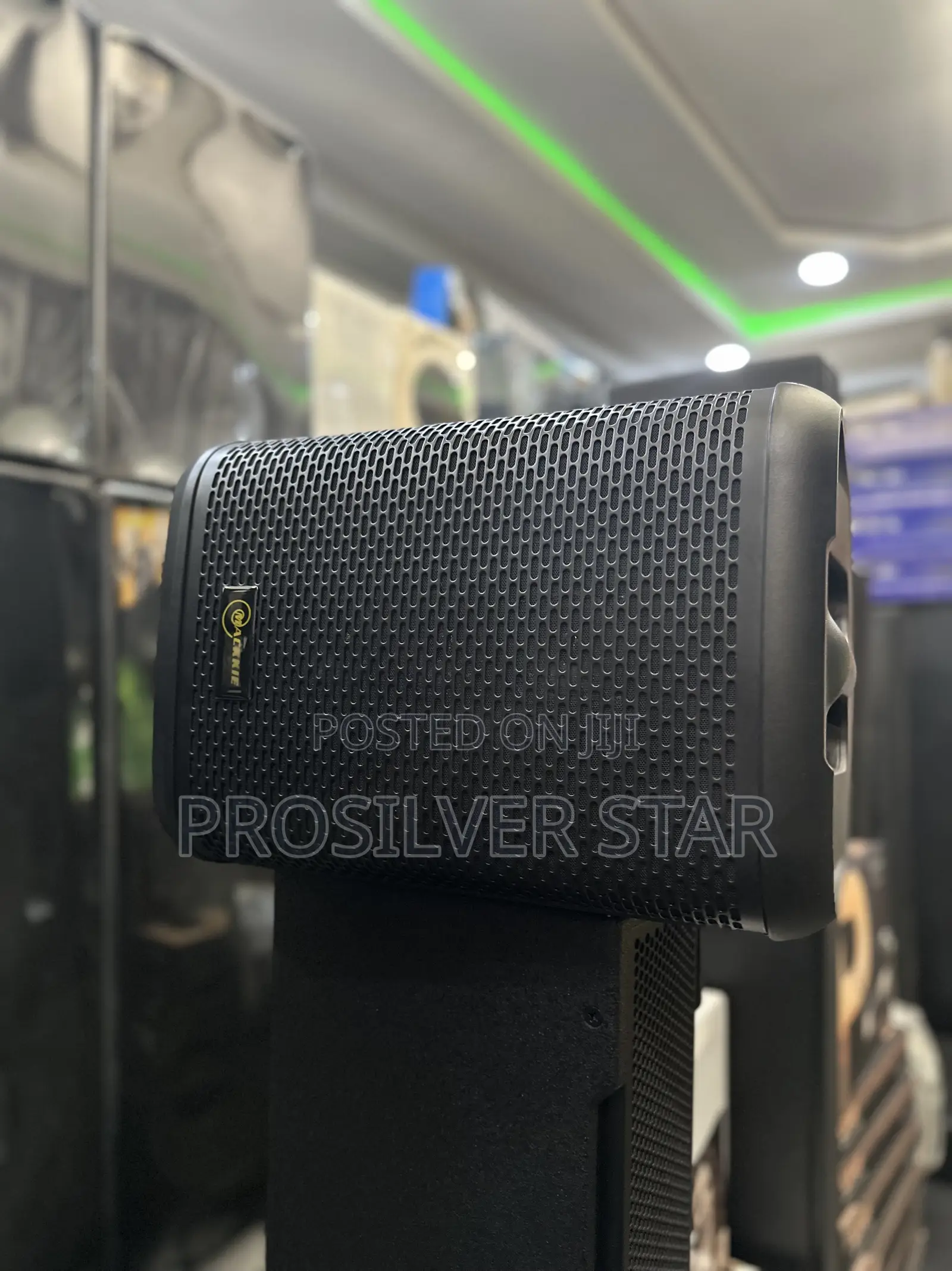 MACKKIE RS-708 OUTDOOR SPEAKER With 2 Wireless Microphone
