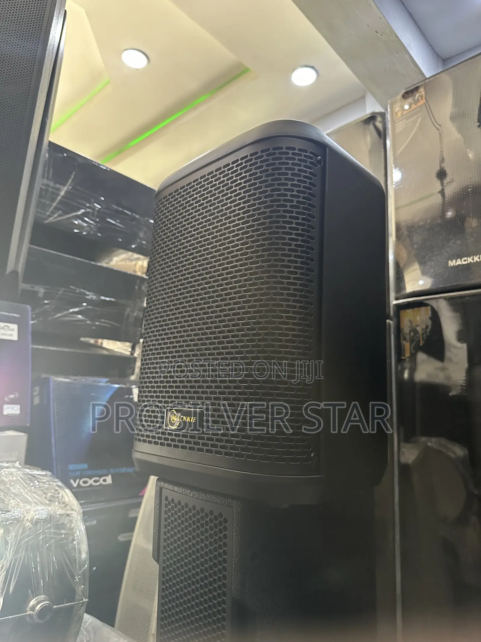 MACKKIE RS-708 OUTDOOR SPEAKER With 2 Wireless Microphone