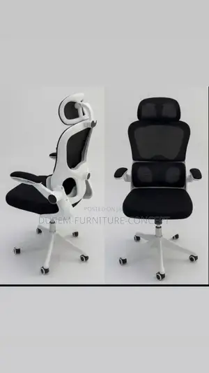 Quality Ergonomic Chair With Lumbar Support