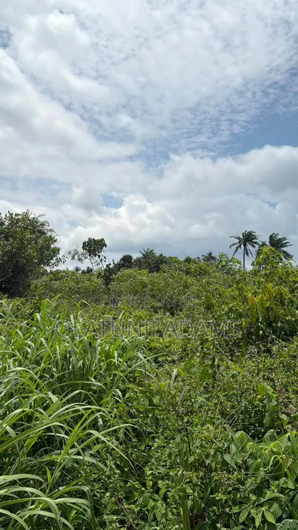 70acres of Land at Ilesa