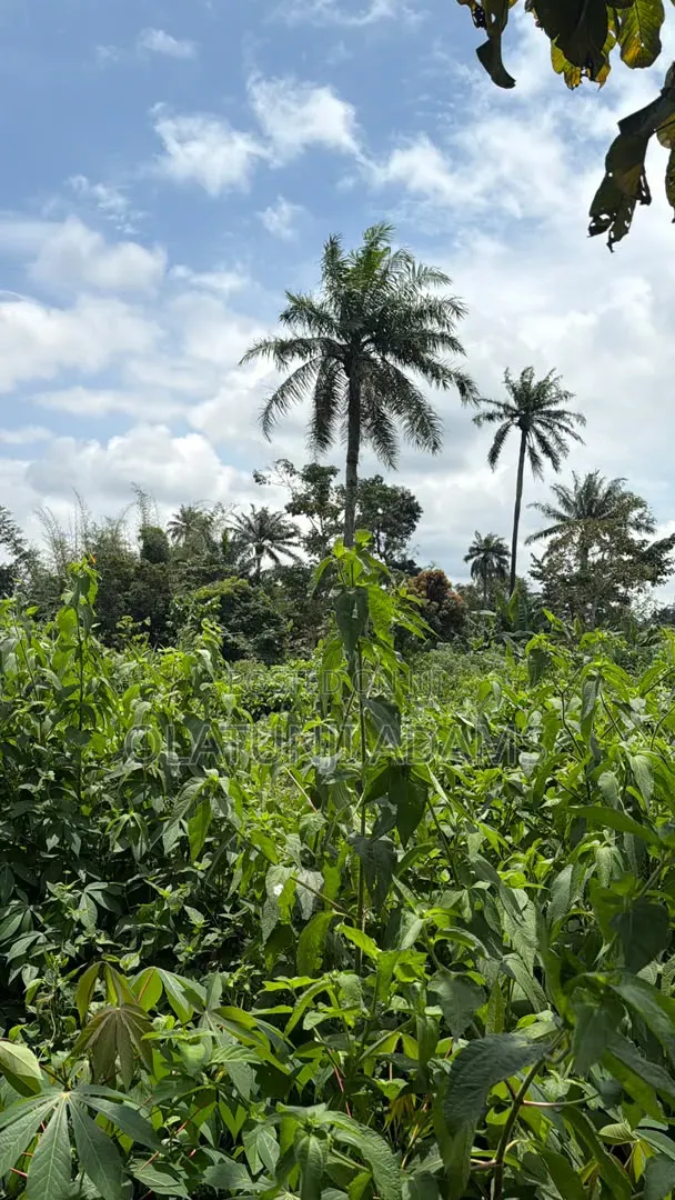 70acres of Land at Ilesa