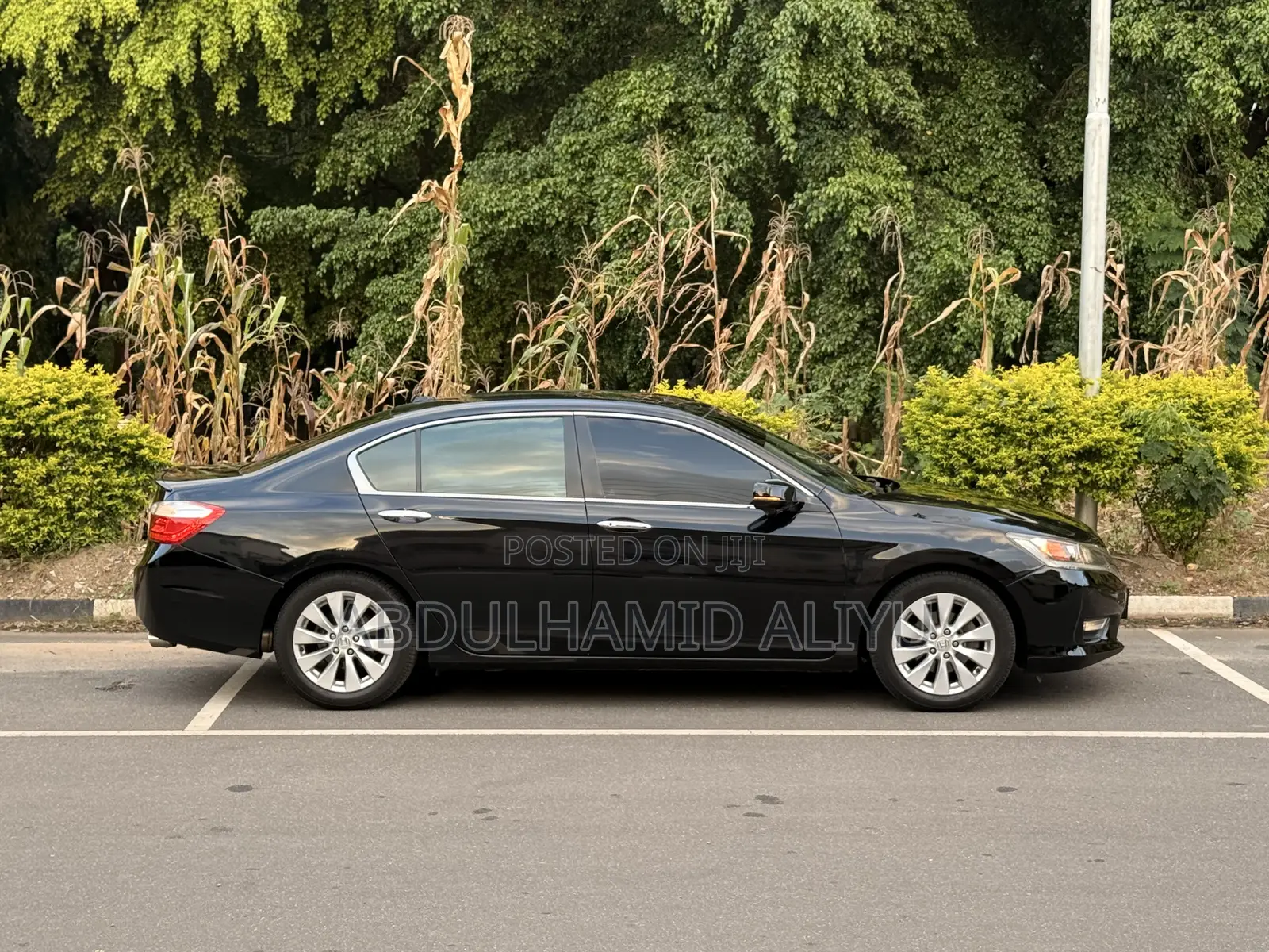 Honda Accord EX-L 4dr Sedan FWD (2.4L 4cyl 2A) 2013 Black