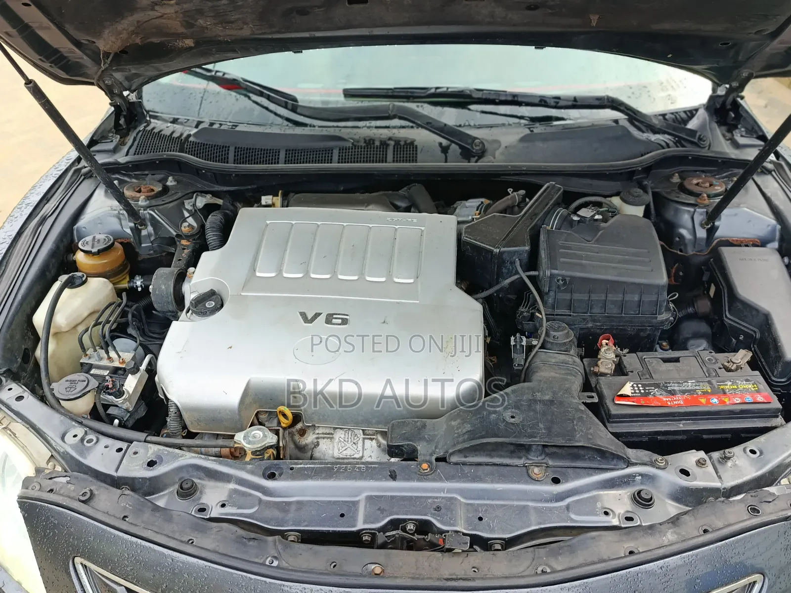 Toyota Camry XLE V6 4dr Sedan (3.5L 6cyl 6AM) 2008 Gray