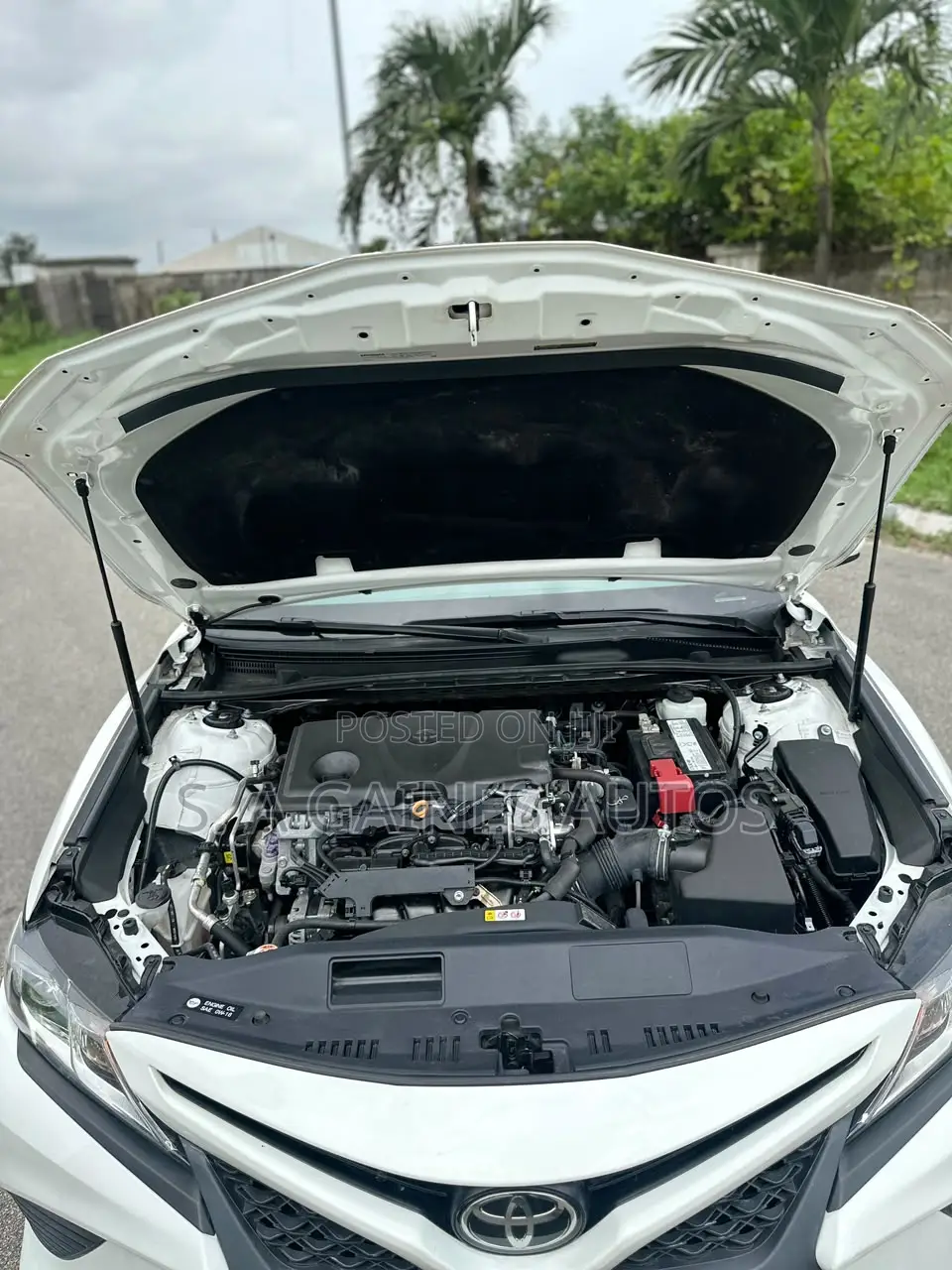 Toyota Camry SE (2.5L 4cyl 8A) 2019 White