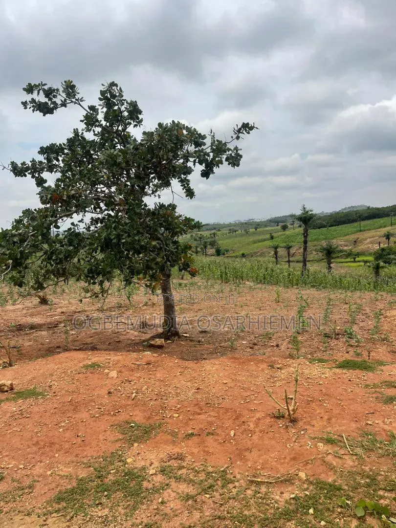 250sqm Estate Land for 4 Bedroom Semi-Detached Duplex With CofO