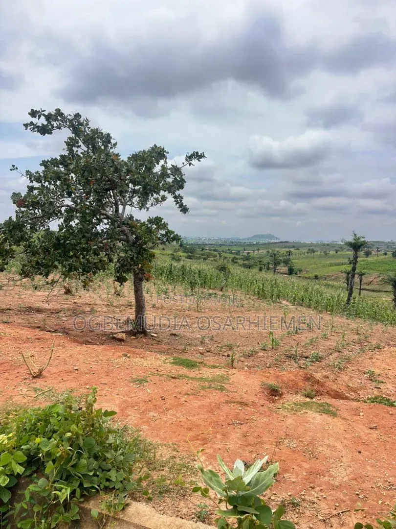 250sqm Estate Land for 4 Bedroom Semi-Detached Duplex With CofO