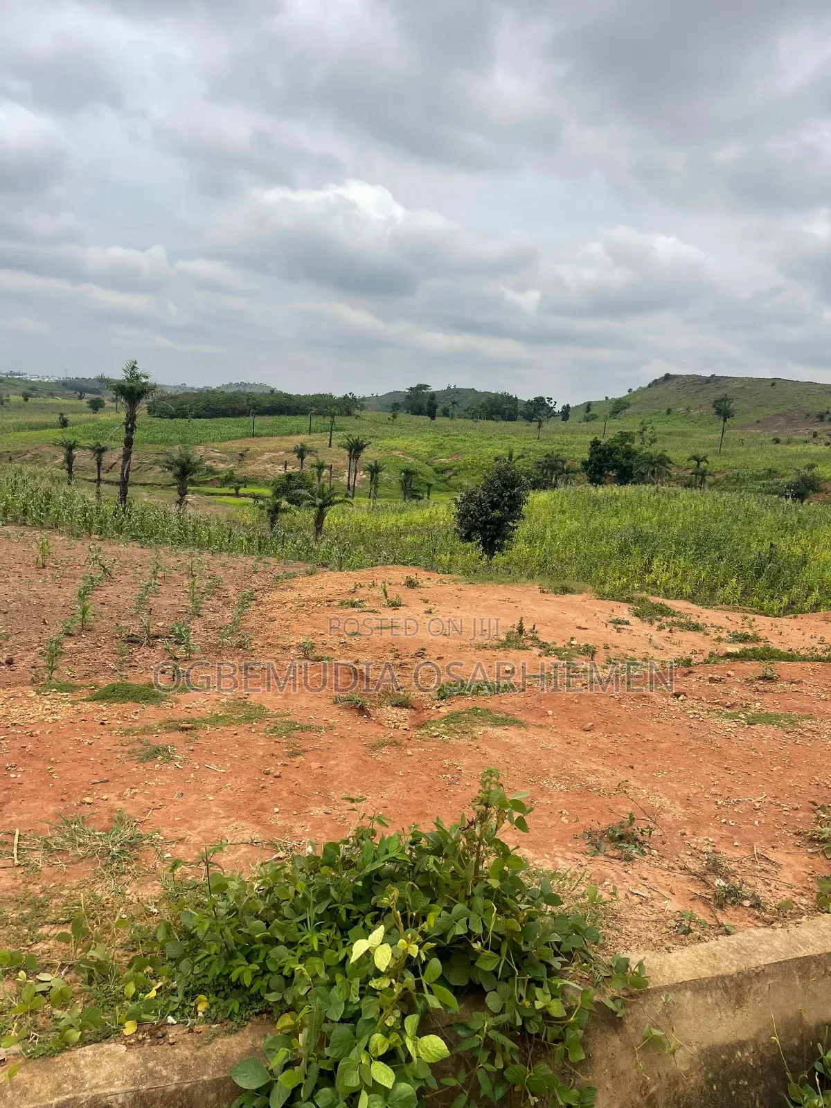 500sqm Estate Land: 5 Bedroom Fully Detached Duplex With BQ With CofO