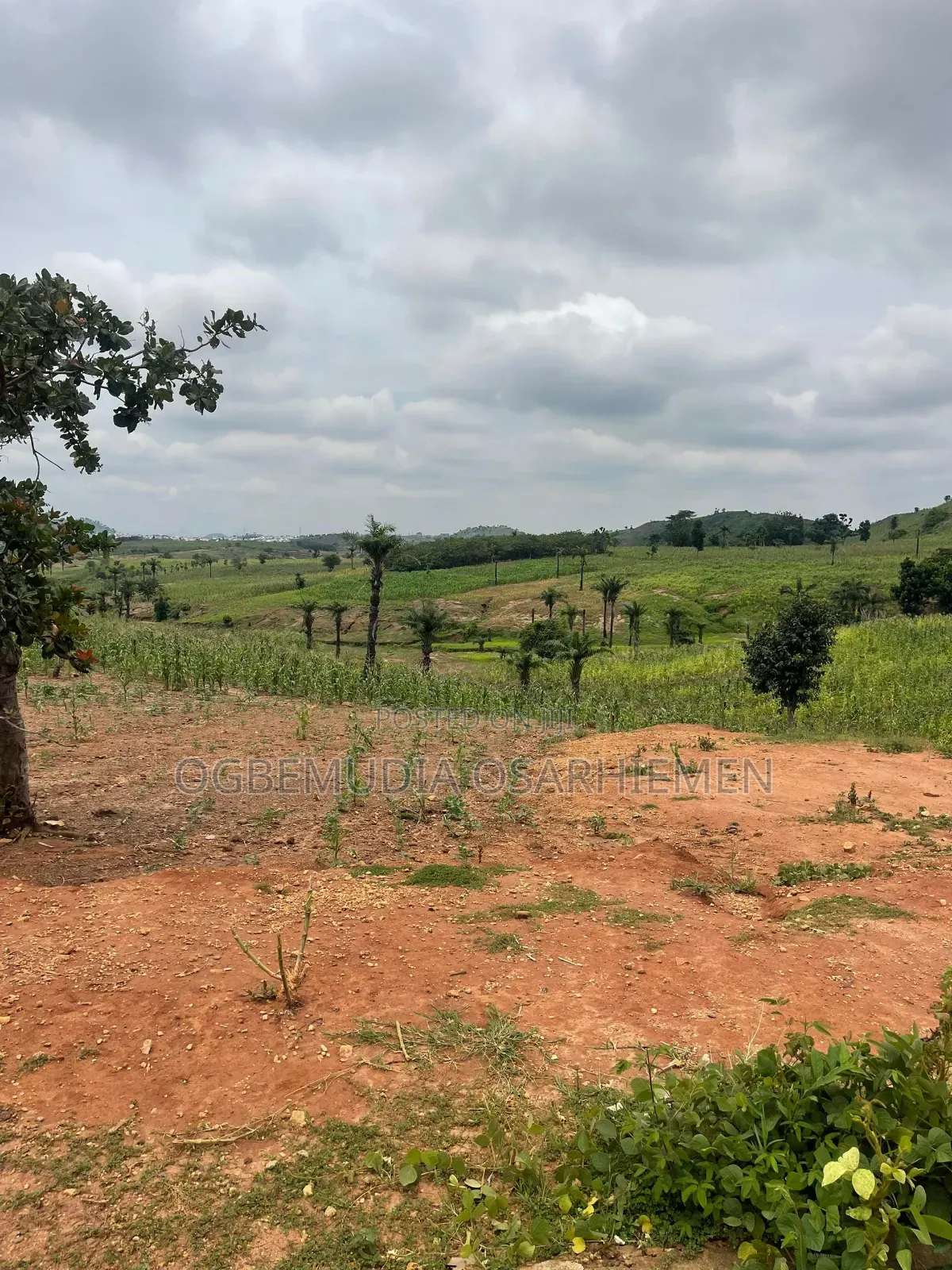 500sqm Estate Land: 5 Bedroom Fully Detached Duplex With BQ With CofO
