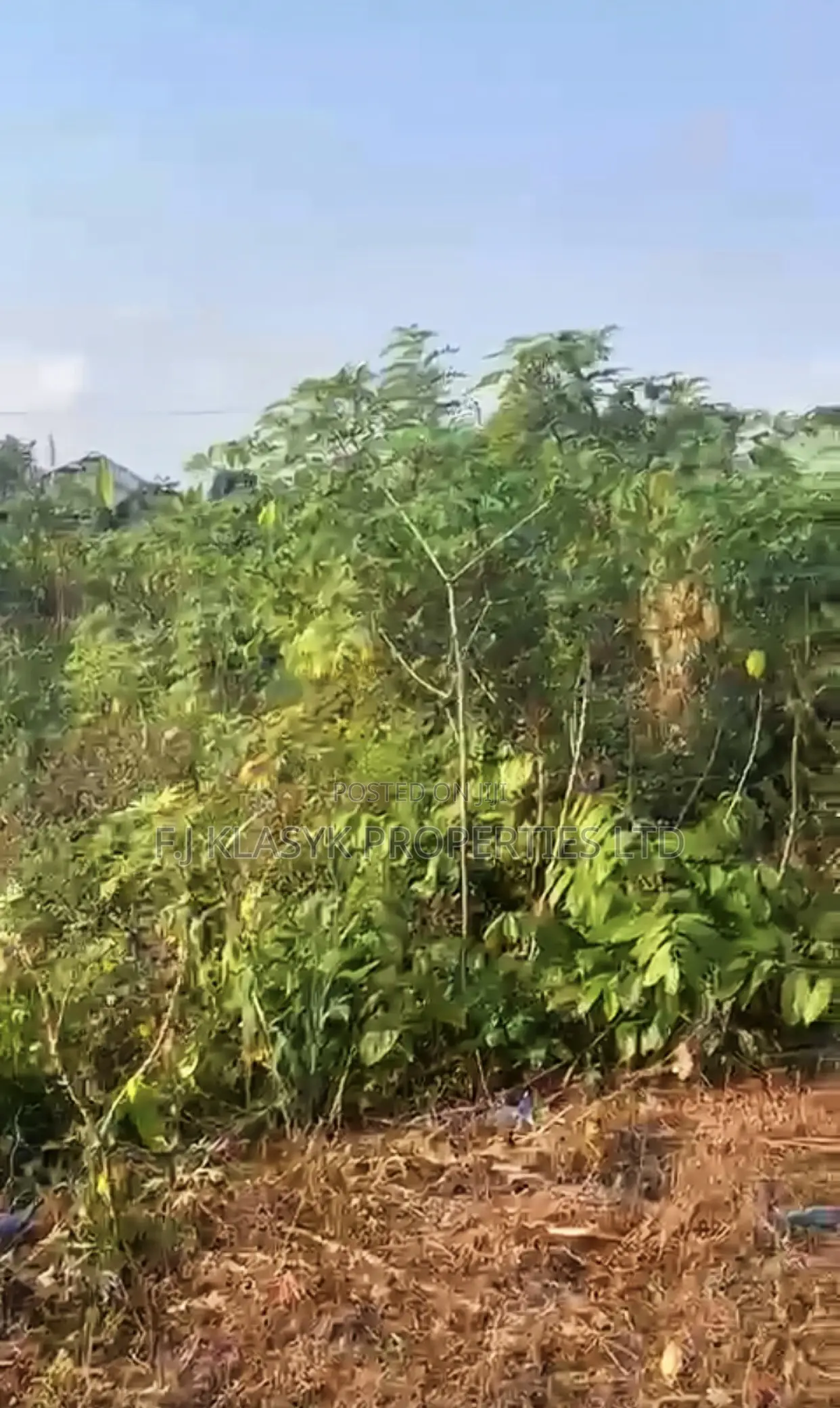 50ft/100ft Land for Sale