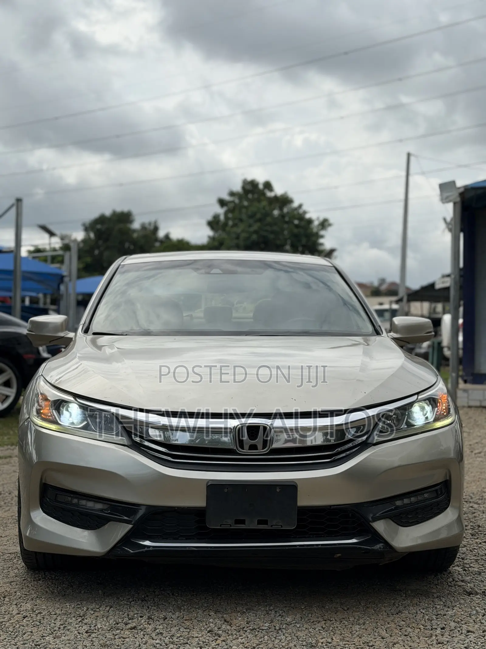 Honda Accord EX-L 4dr Sedan FWD (2.4L 4cyl 2A) 2013 Gold