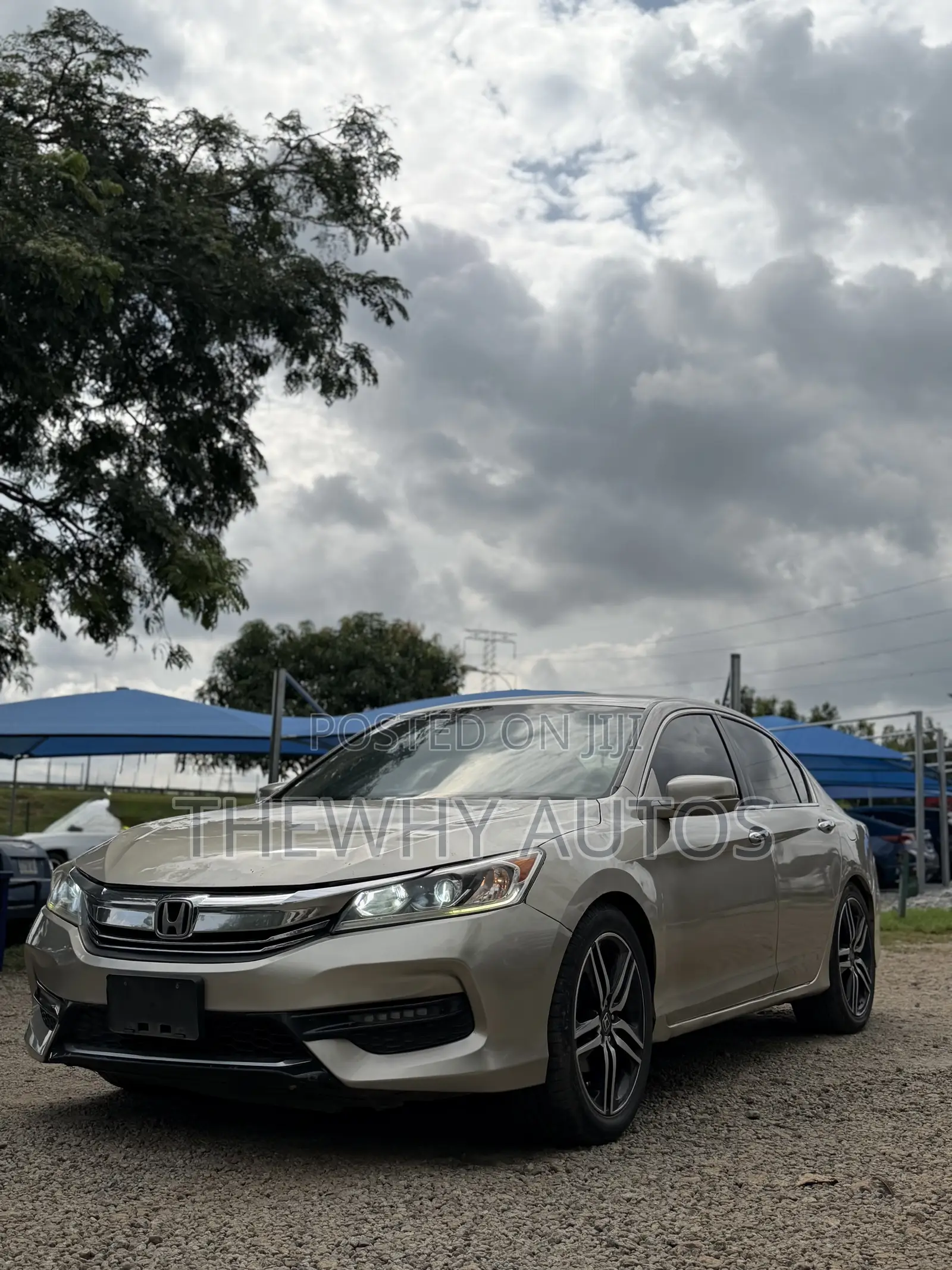 Honda Accord EX-L 4dr Sedan FWD (2.4L 4cyl 2A) 2013 Gold